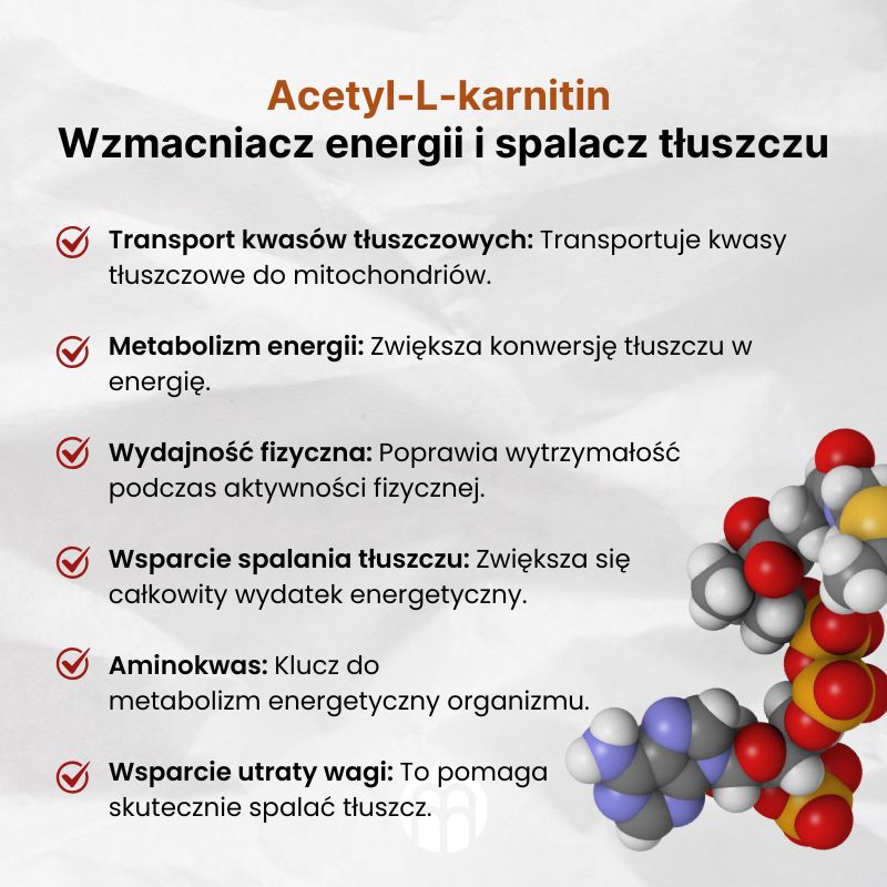 (Polština) Acetyl-L-karnitin  Energetický posilovač a spalovač tuků